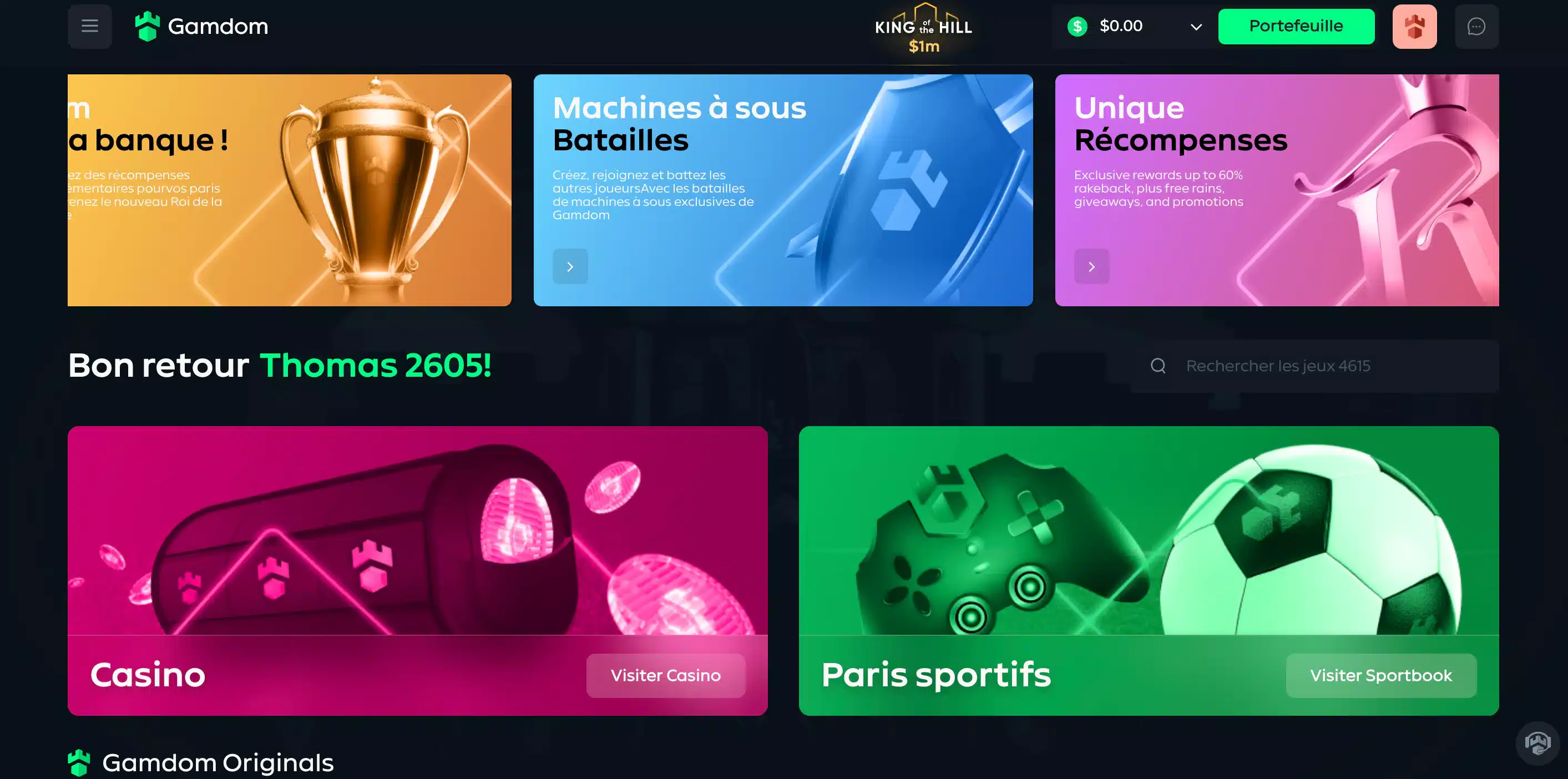 page-gamdom-accueil