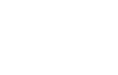 robocat-whitelogo-400x-copie
