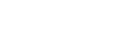 logotype white spinight