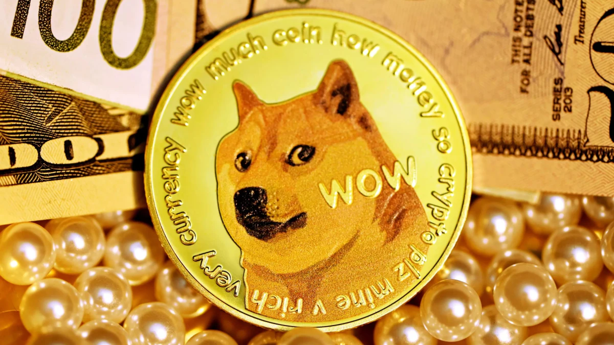 Kabosu: The Coin