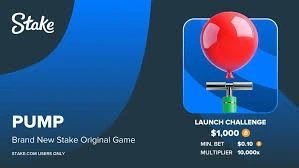 image pump stake