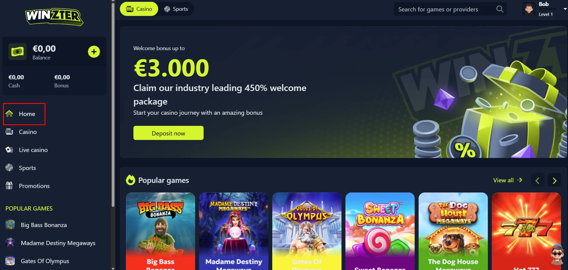 Winzter Casino Website Interface