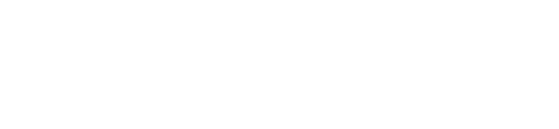 logotype white fast slots