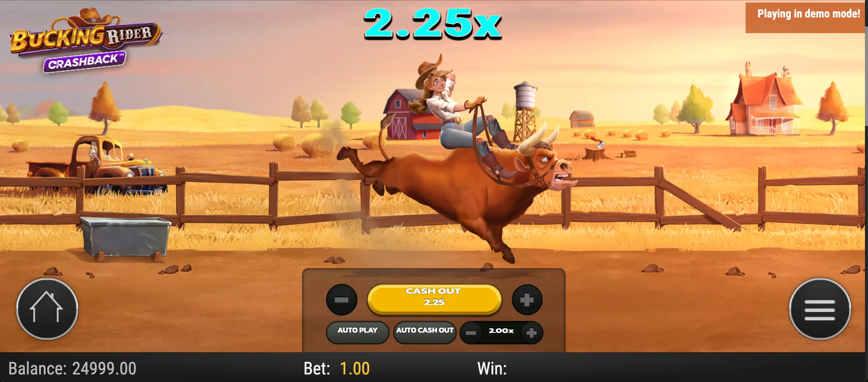 bucking rider règles