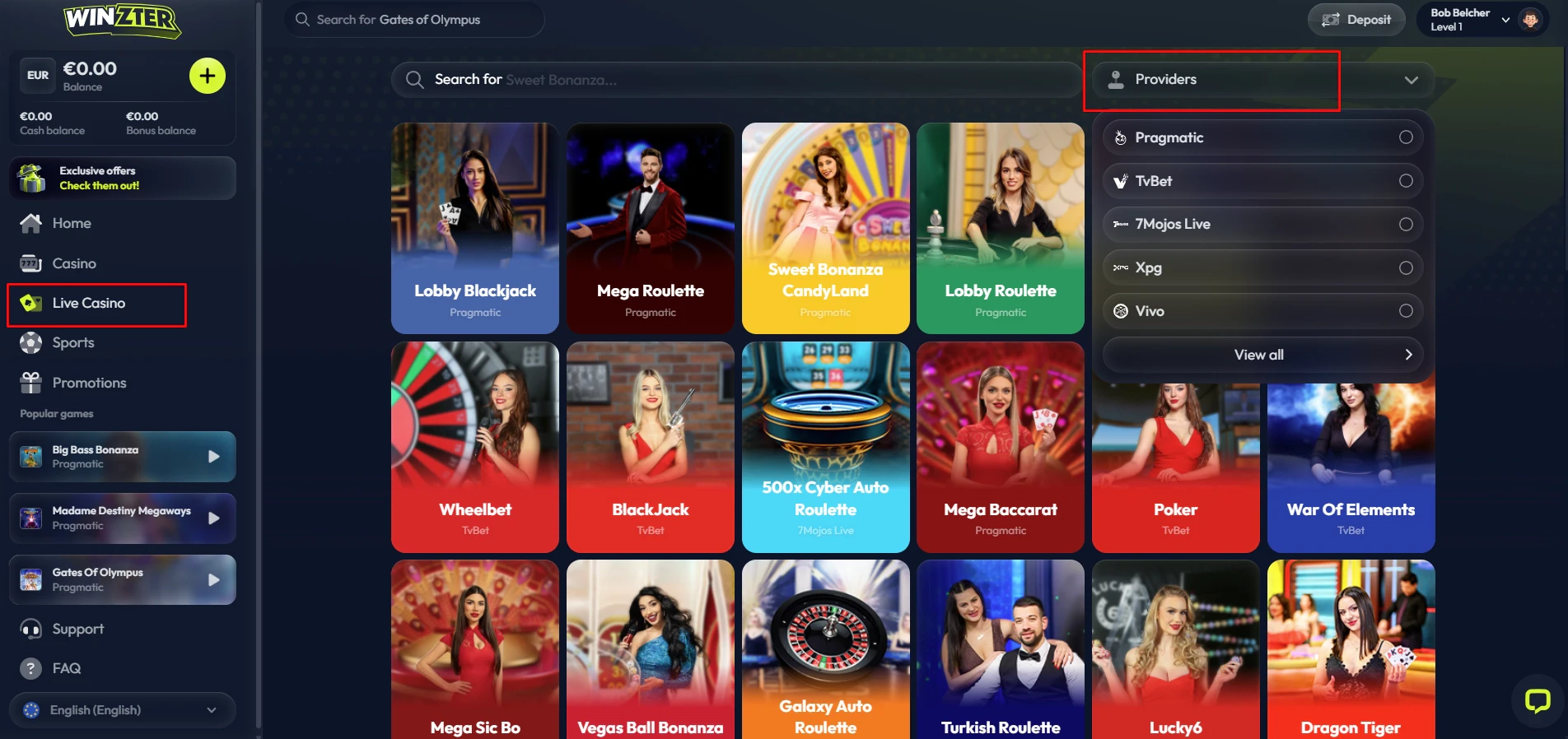 Winzter Live Blackjack Providers