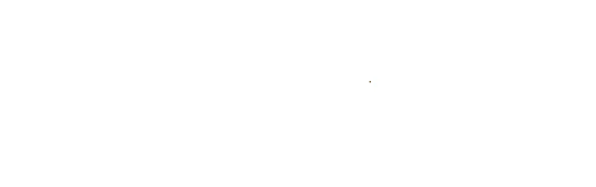 Logotype Viggoslots