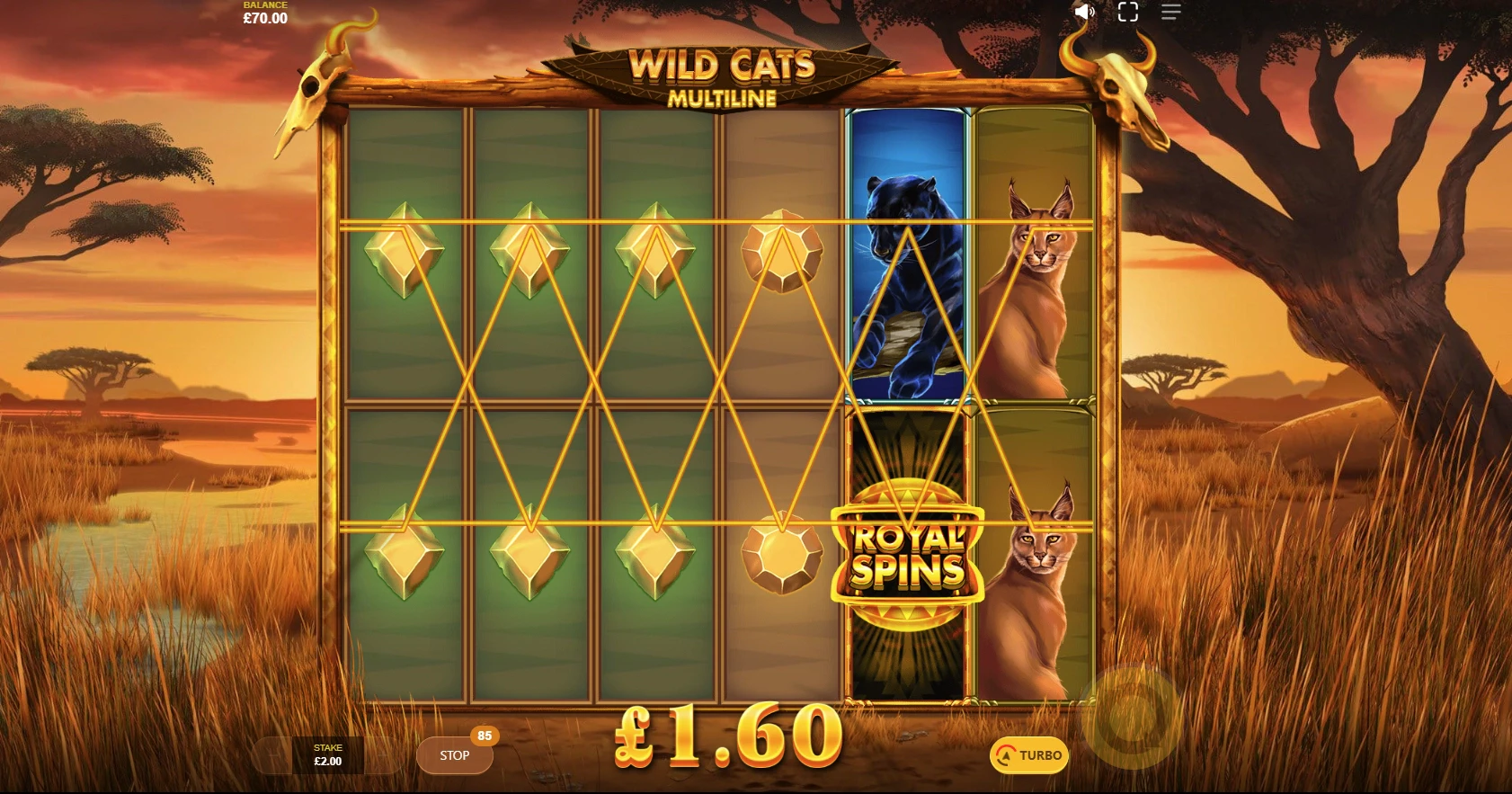 Wild Cats Multiline