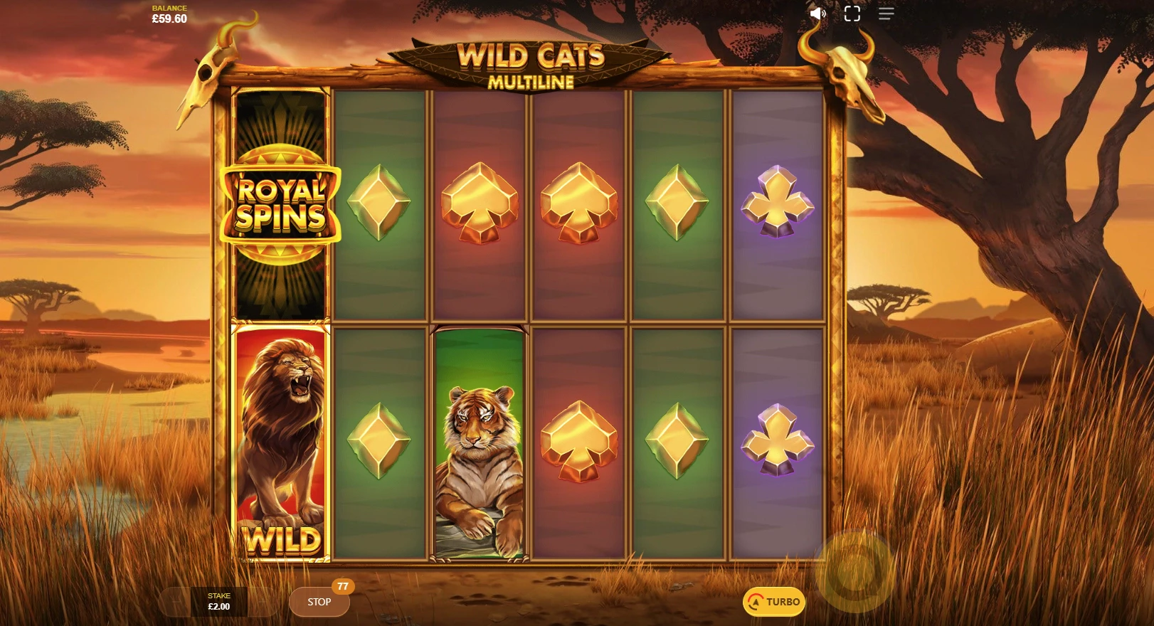 Wild Cats Multiline
