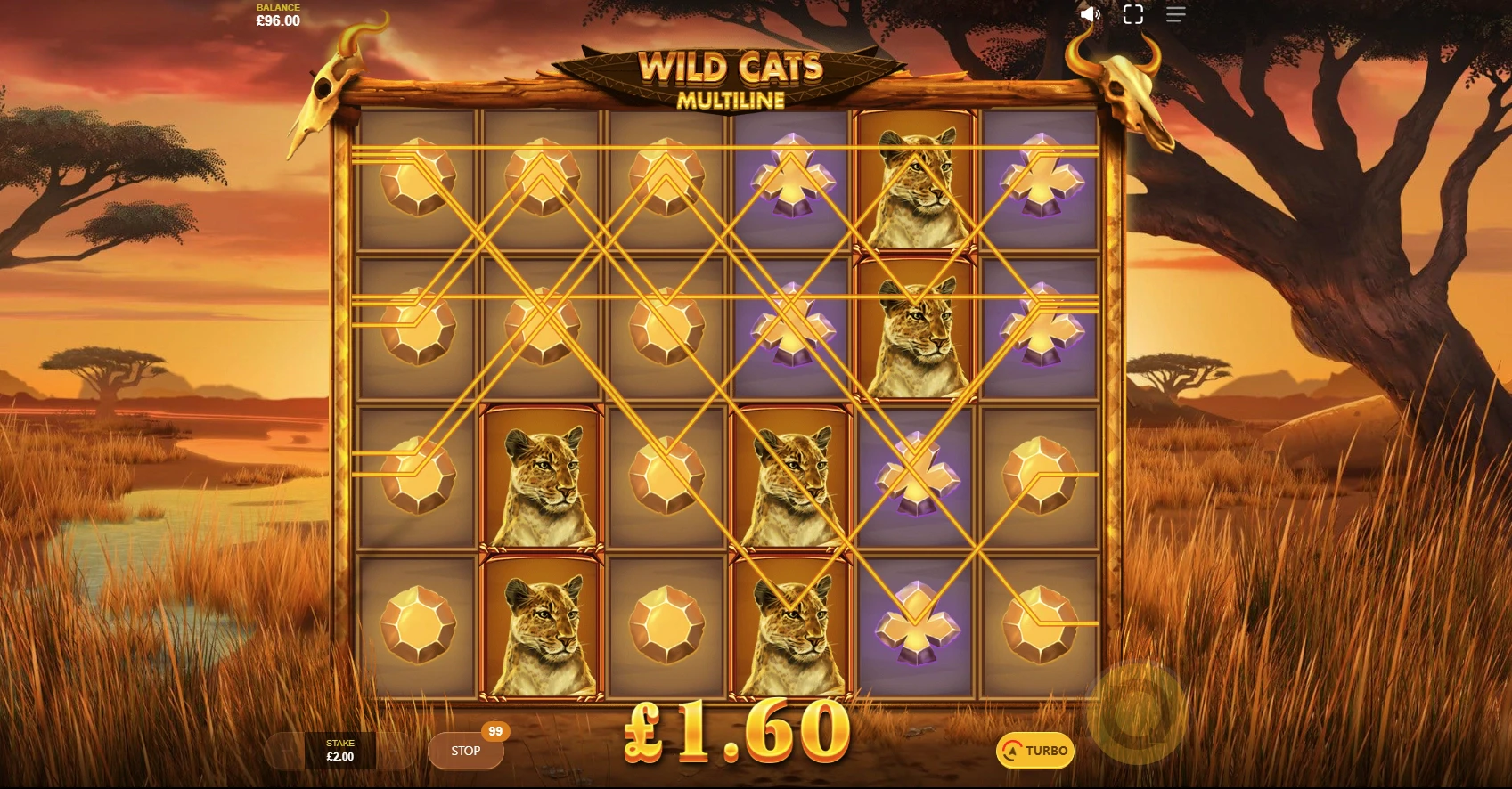 Wild Cats Multiline
