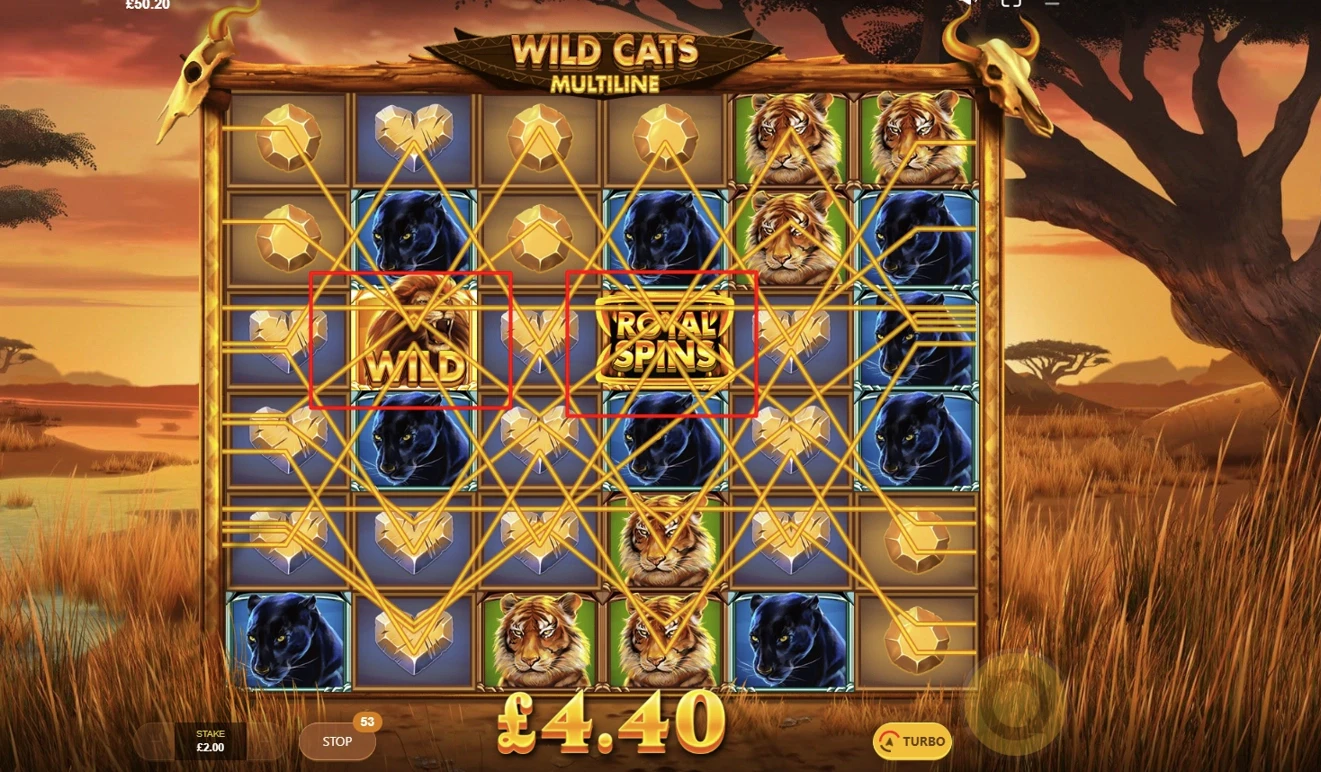 Wild Cats Multiline Paylines