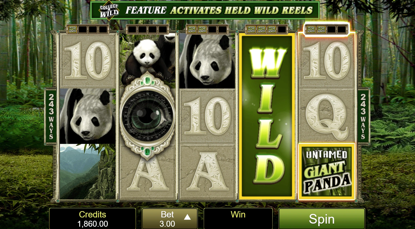 Untamed Giant Panda