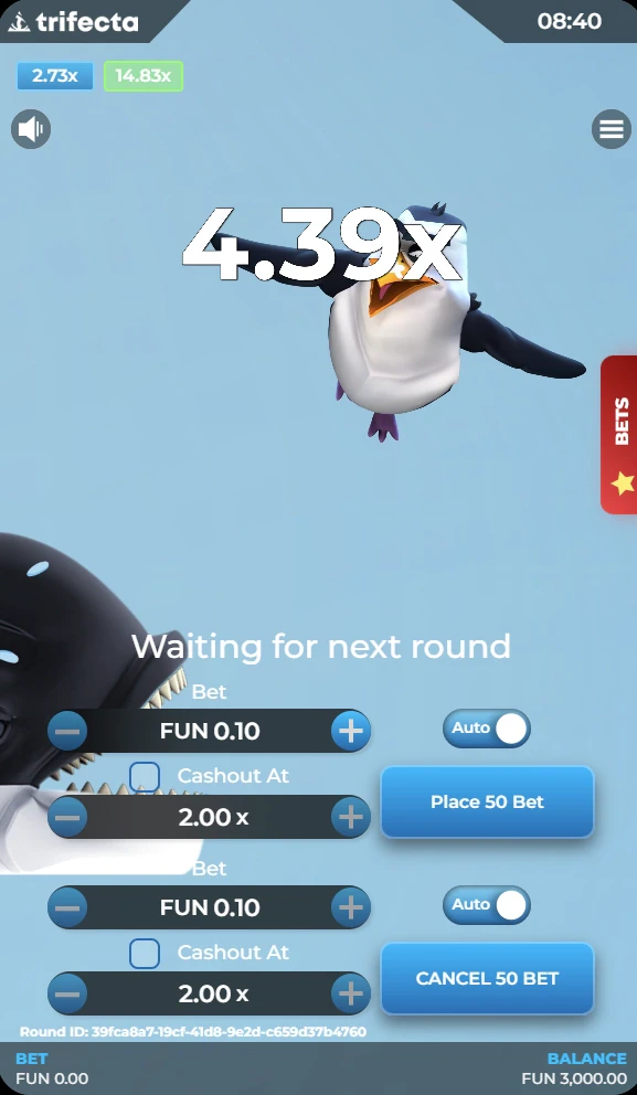 Pingoo Splash Mobile