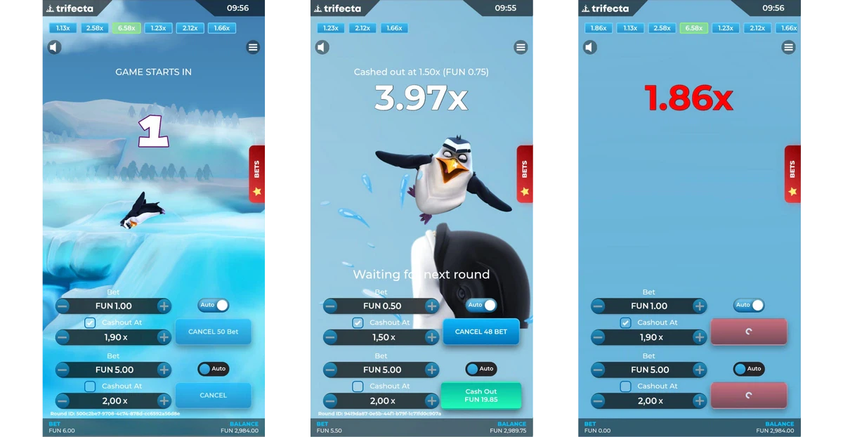 pingoo splash sur mobile