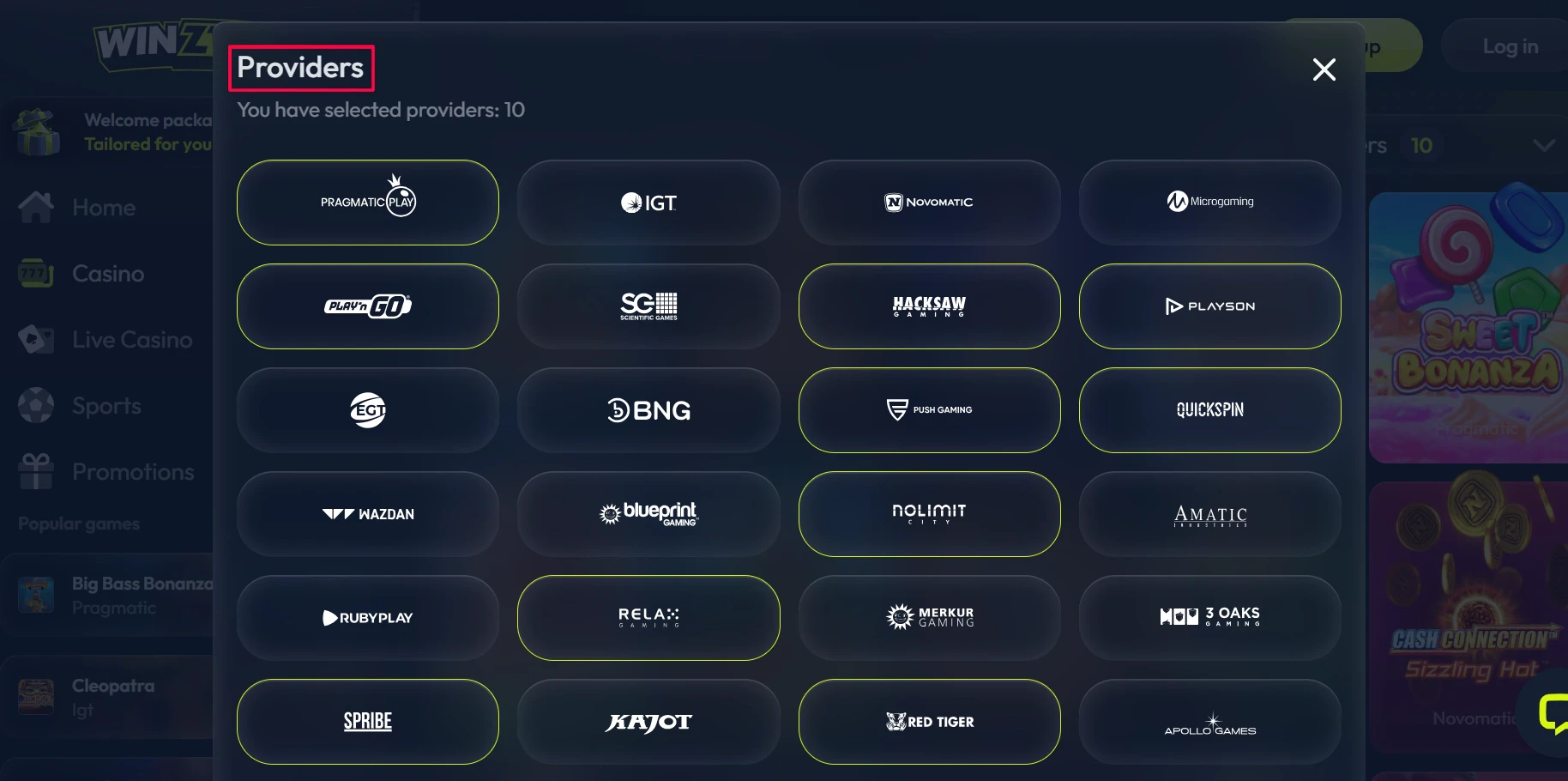Winzter Casino Providers
