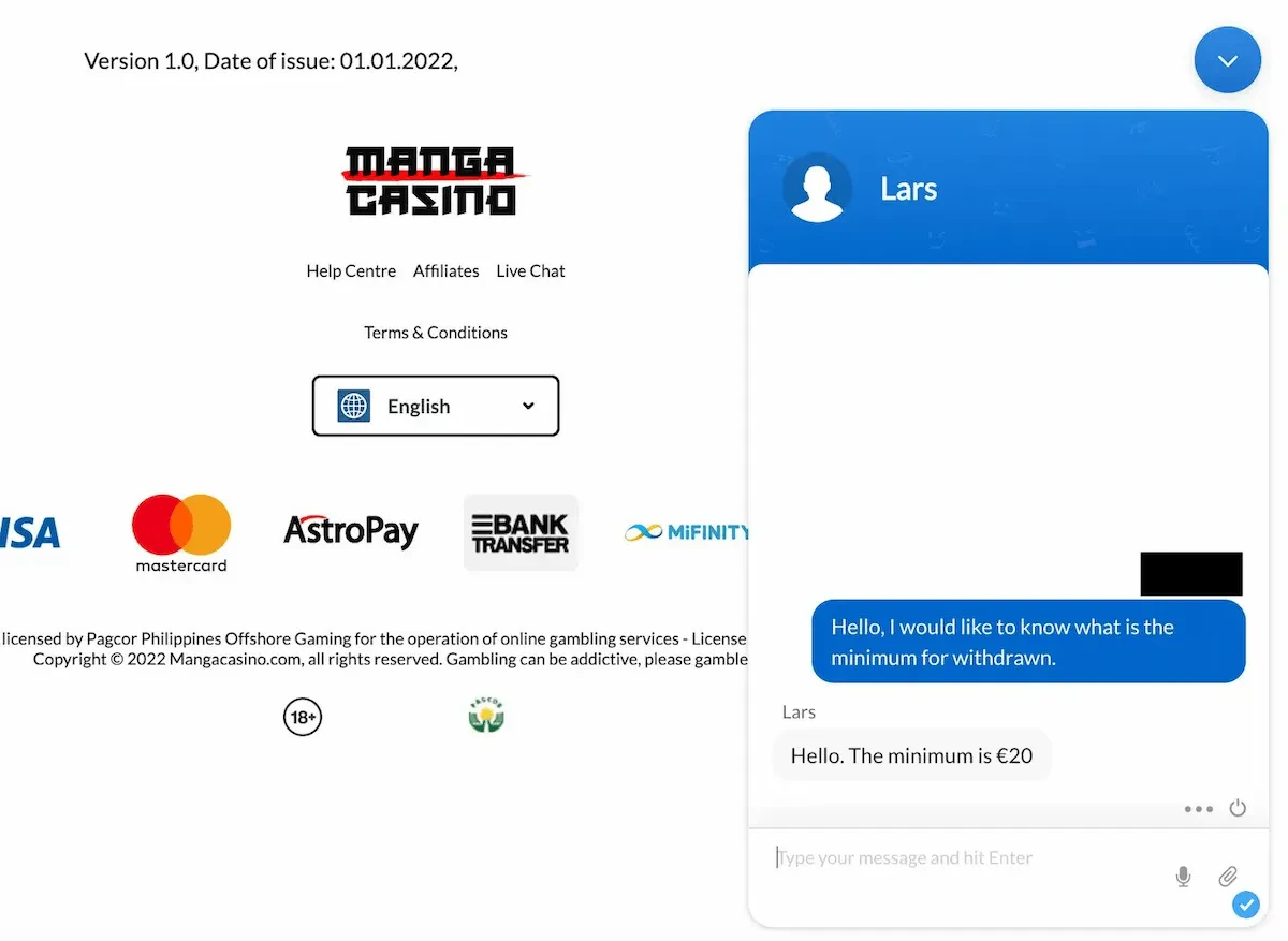 Le-chat-en-direct-est-très-compétent-et-professionnel