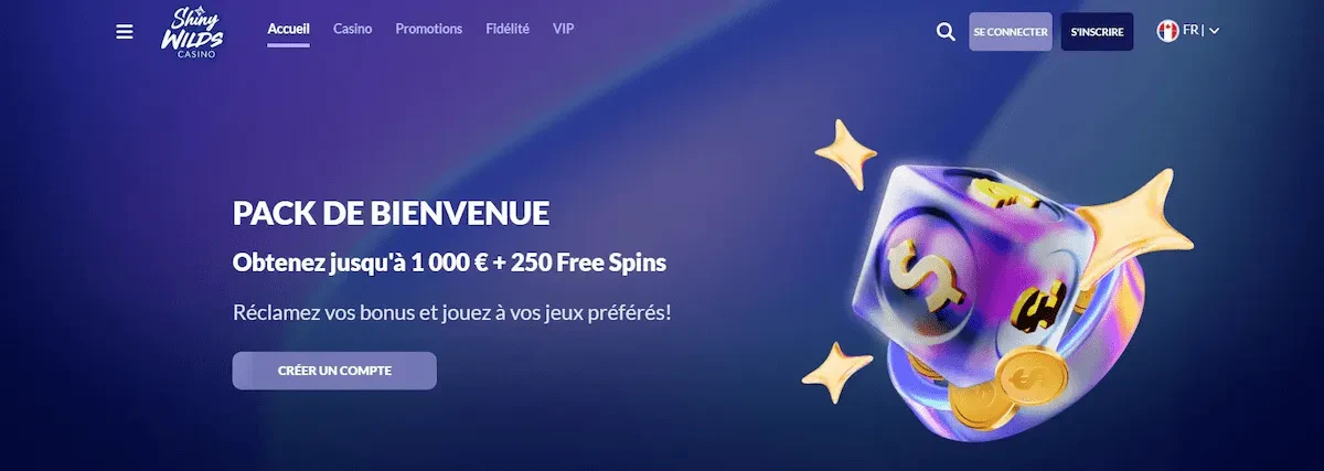 page d'accueil shiny wilds