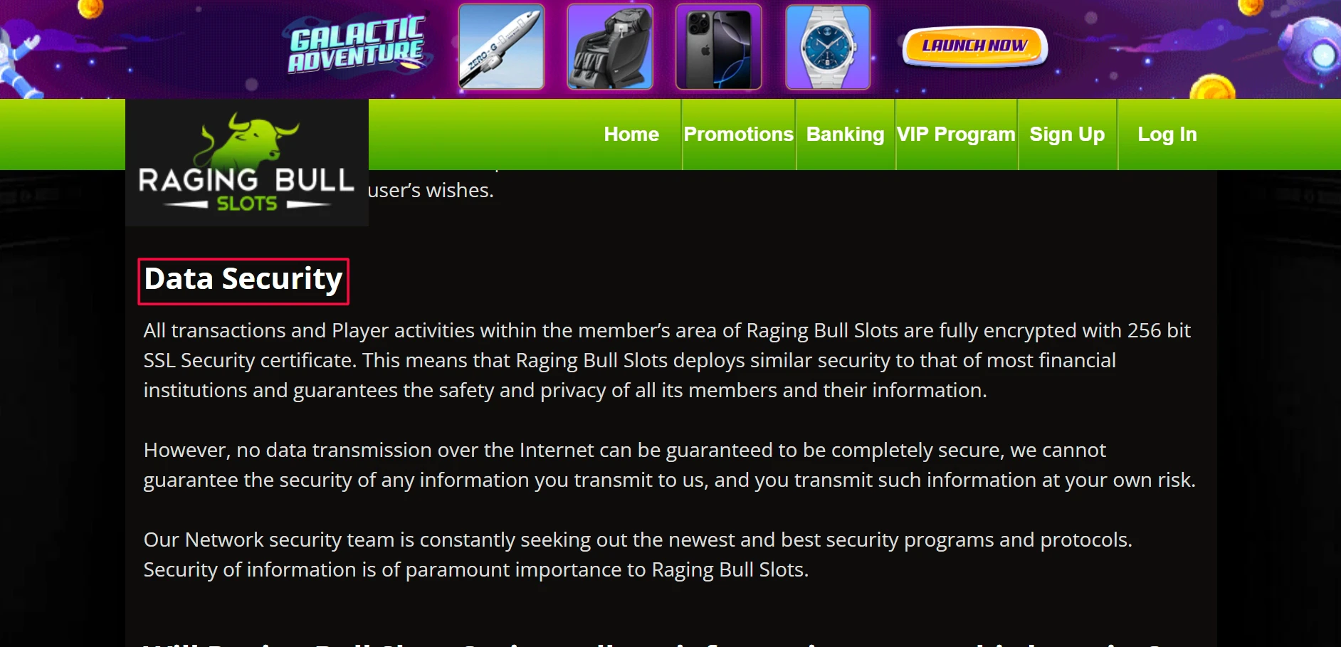 Raging Bull Slots Security