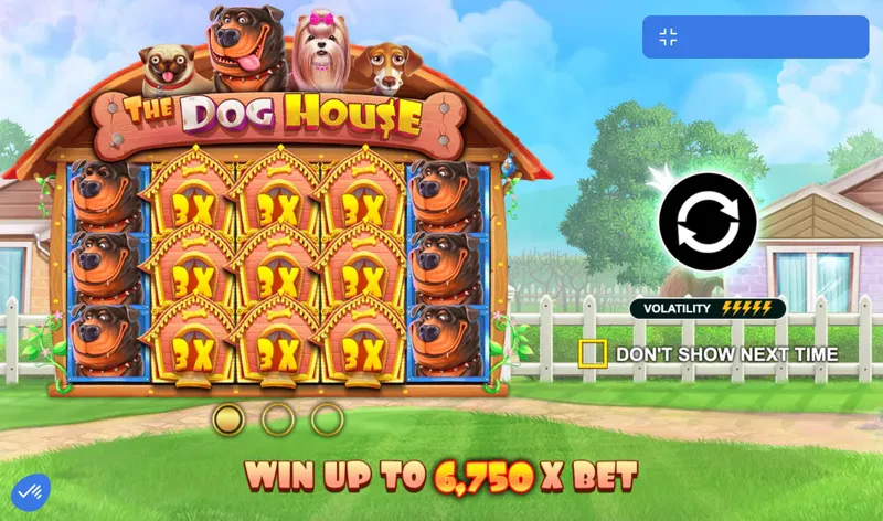 the dog house volatilité
