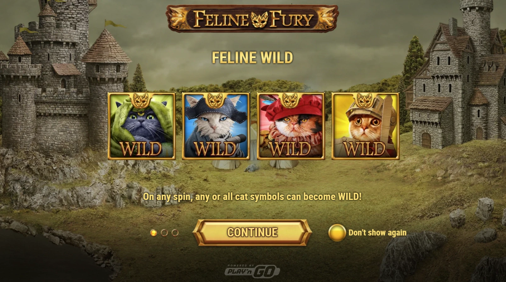 Feline Fury