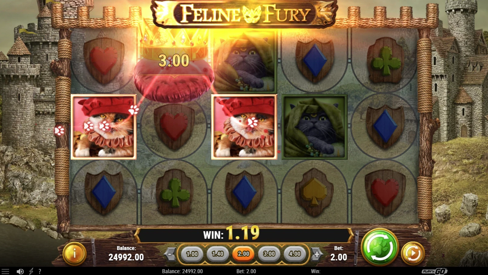 Feline Fury Feature Symbols