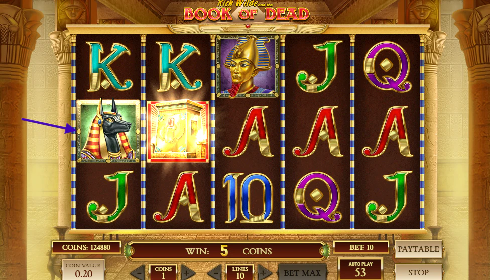 Grade da Slot Book of Dead: símbolos especiais