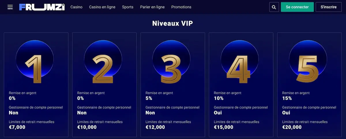 programme vip frumzi