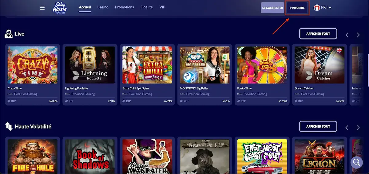 shiny wilds inscription