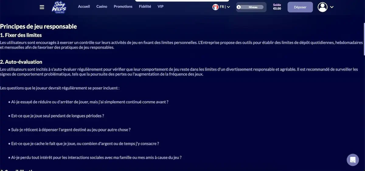 shiny wilds jeu responsable