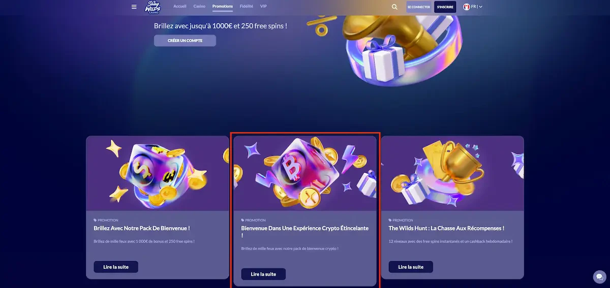 offre-bienvenue-shiny-wilds