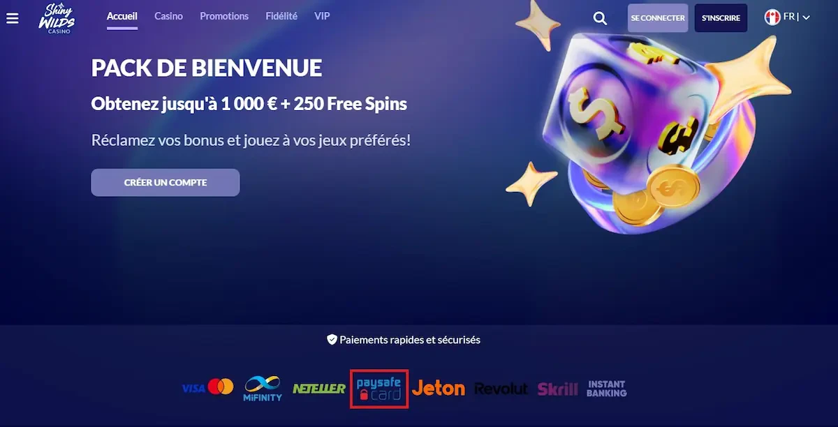 Paysafecard sur ShinyWilds