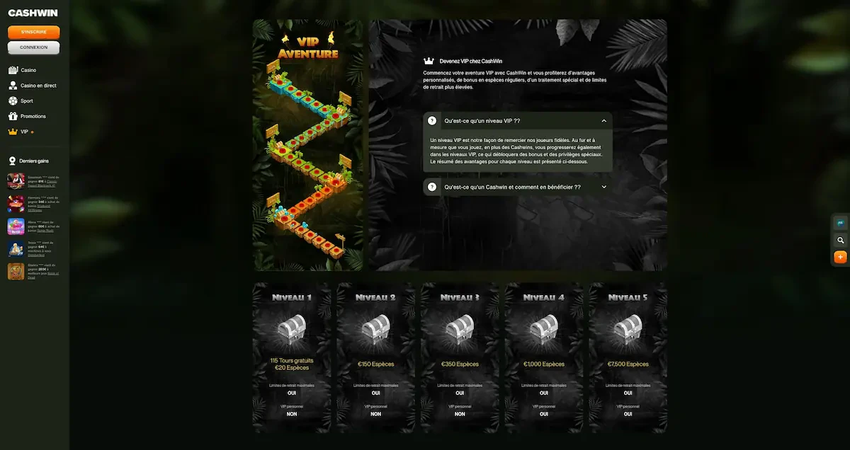 programme vip cashwin