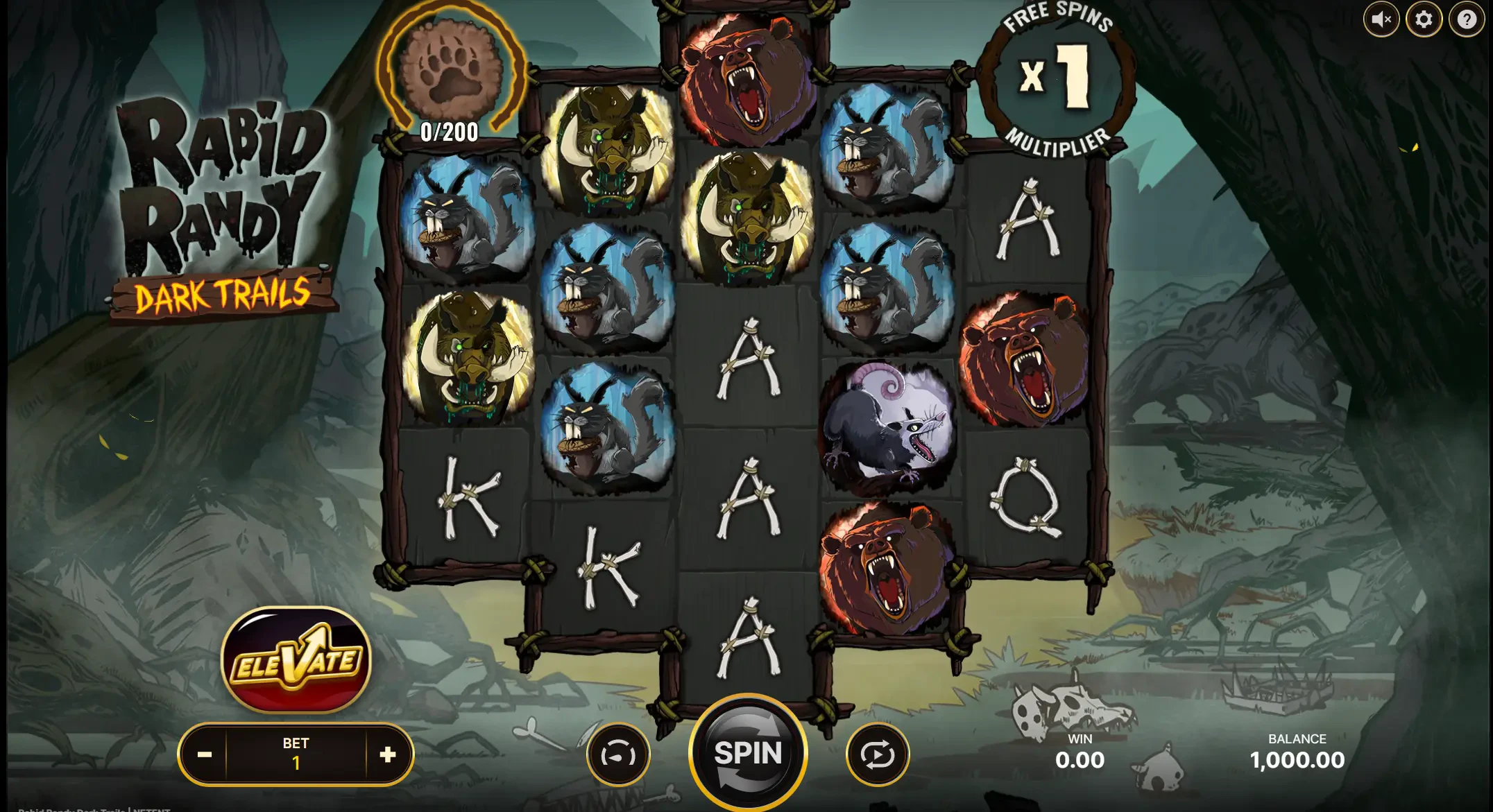 Confira a distribuição da grade