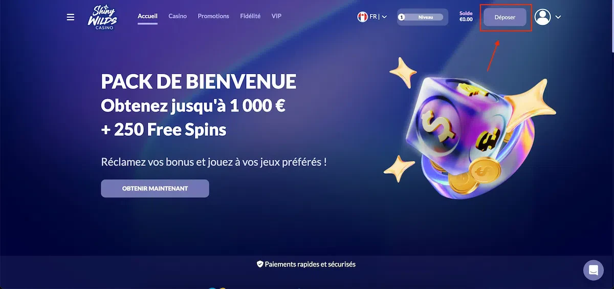 shiny wilds dépot