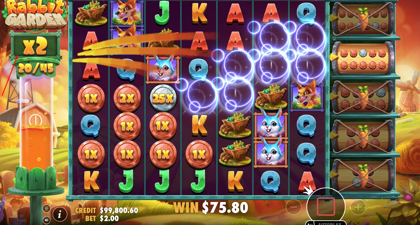 Rabbit Garden Coin Collection