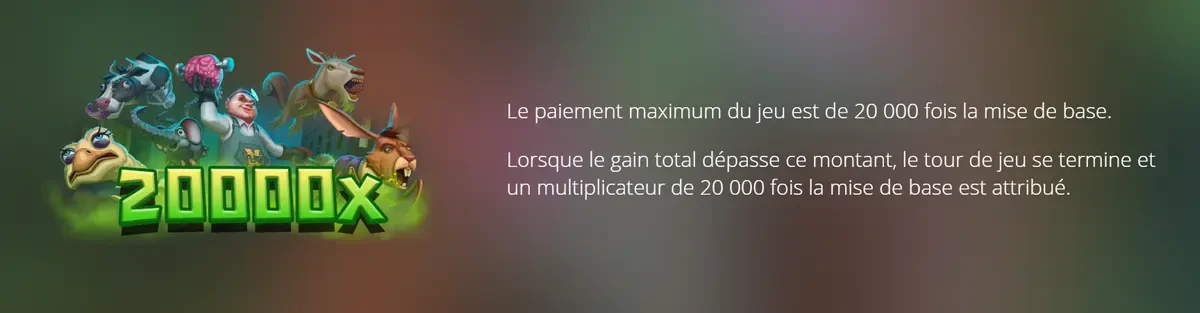 gain max sur bizarre