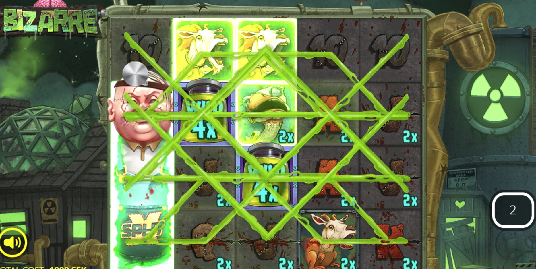 The game mechanics and possible paylines of the Bizarre slot machine