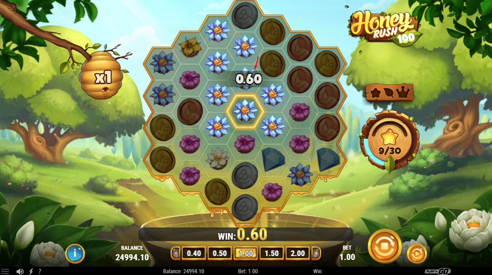 Special Features in the Honey Rush 100 slot by Play'n GO